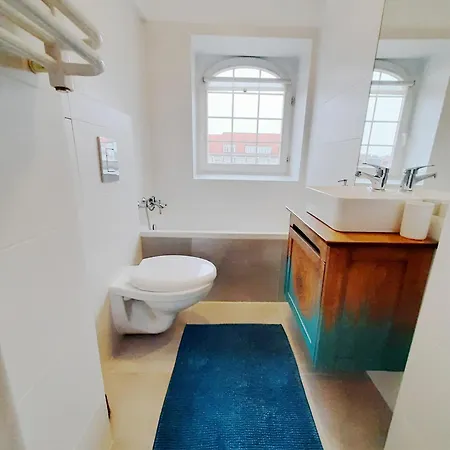 Dream Loft Motlava River 公寓 格但斯克