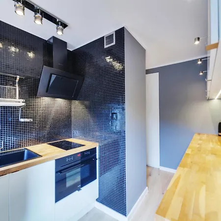 公寓 Dream Loft Motlava River 格但斯克