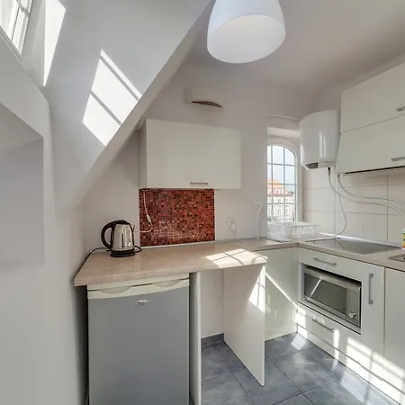 Dream Loft Motlava River גדנסק